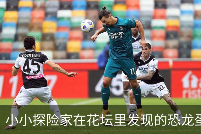 小小探险家在花坛里发现的恐龙蛋化石